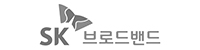 SK브로드밴드